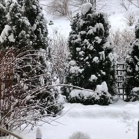 Tarasy Gdyni Z Ogrodkiem