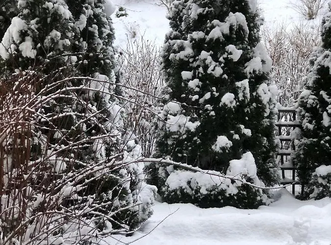 Tarasy Gdyni Z Ogrodkiem