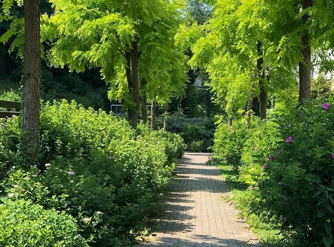 Lägenhet Tarasy Gdyni Z Ogrodkiem *